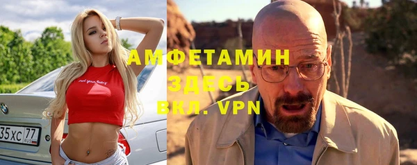 spice Ельня