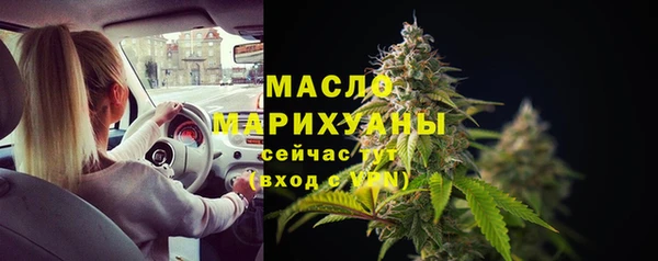 spice Ельня