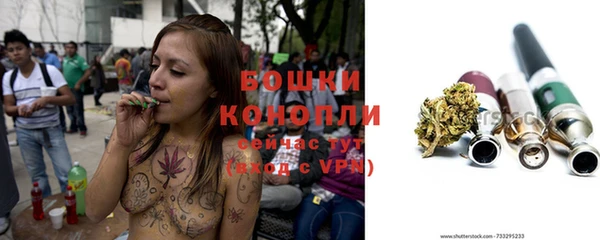 spice Ельня