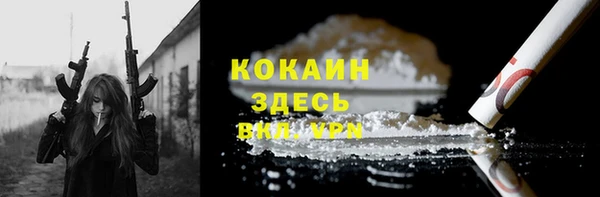spice Ельня