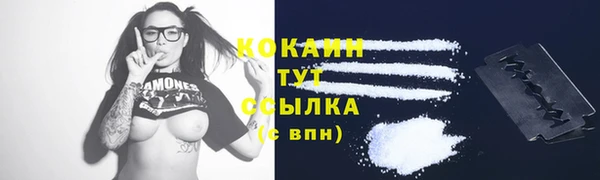 spice Ельня