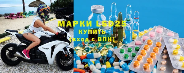 spice Ельня