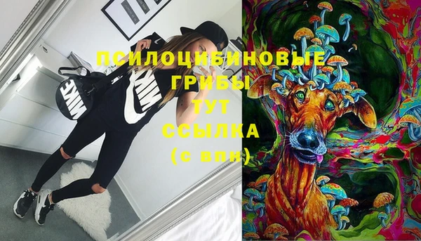 spice Ельня