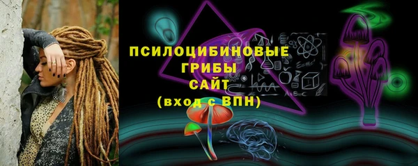 гашик Елабуга