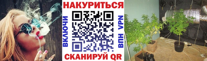 Купить закладки  Краснокаменск  Бошки марихуана конопля 